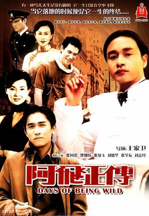 尼波星大学社会学文凭证书